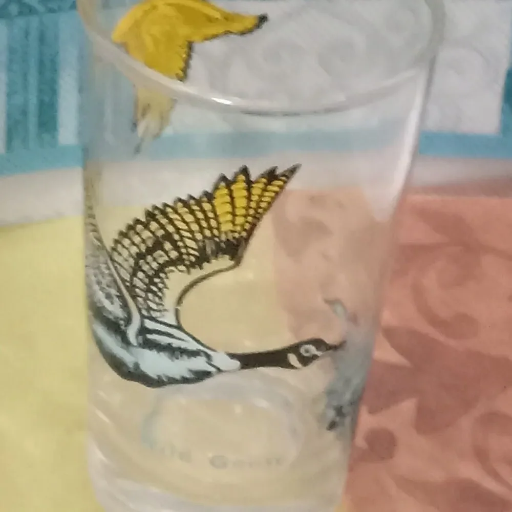 Wild Geese Series Drink Tumbler 12 oz Glass Blue Black Yellow Fowl